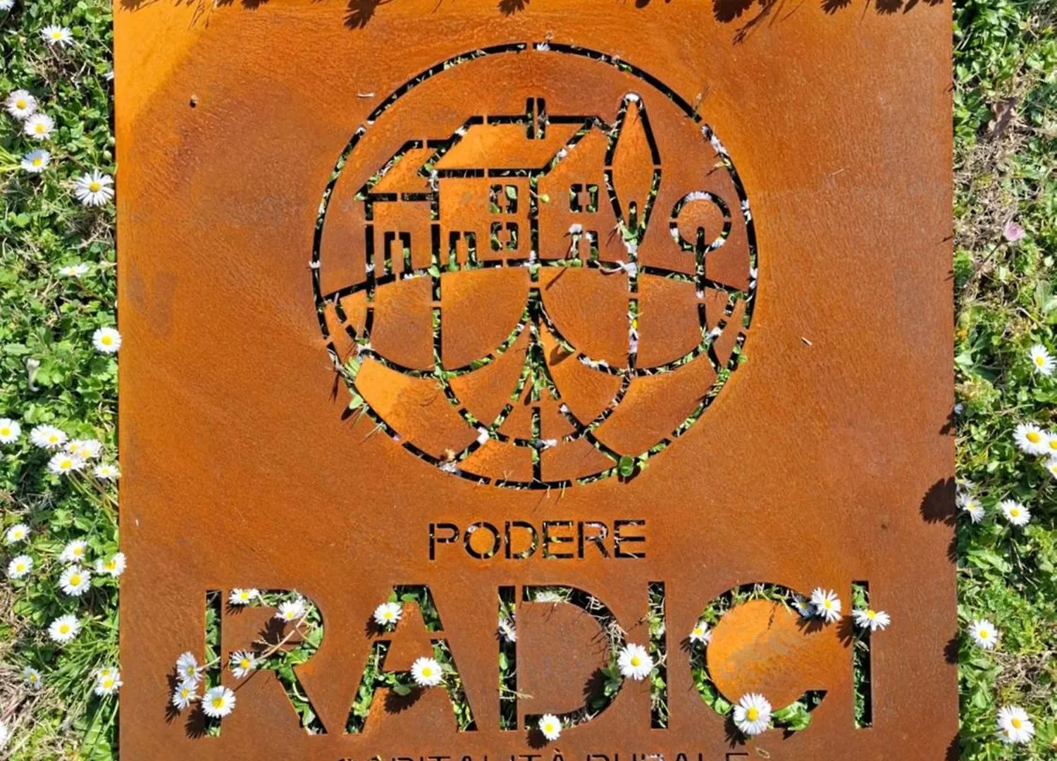 Podere Radici - Room & Breakfast 미사노아드리아티코 이탈리아