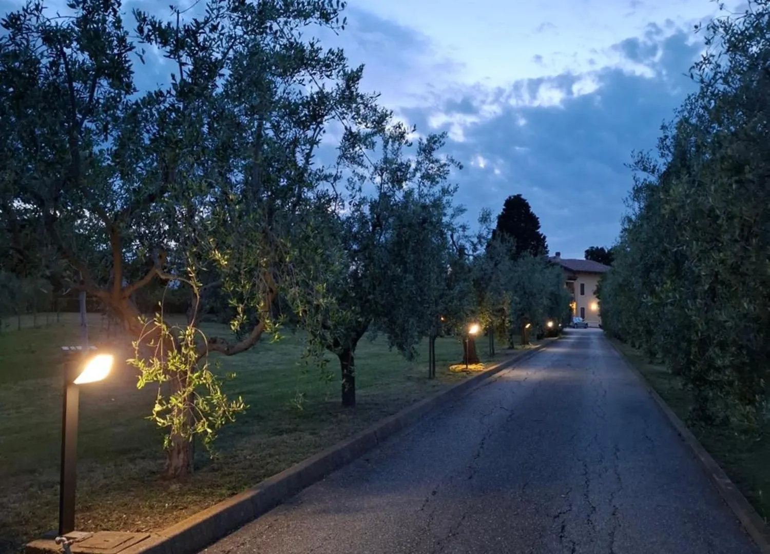 B&B Podere Radici - Room & Breakfast 미사노아드리아티코
